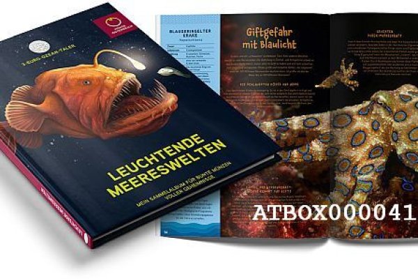 Гидра даркнет рынок