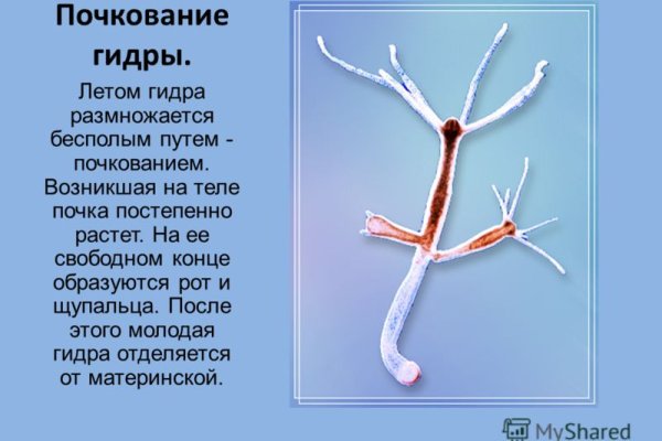 Сайт кракен зайти