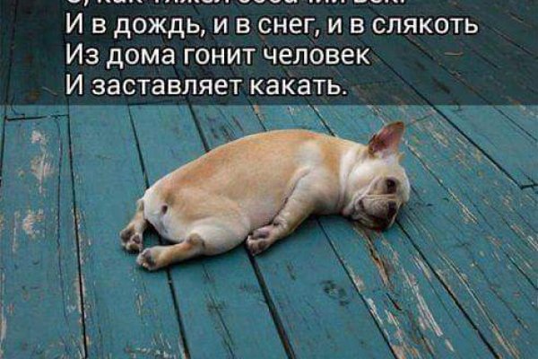 Кракен рабочая ссылка тор