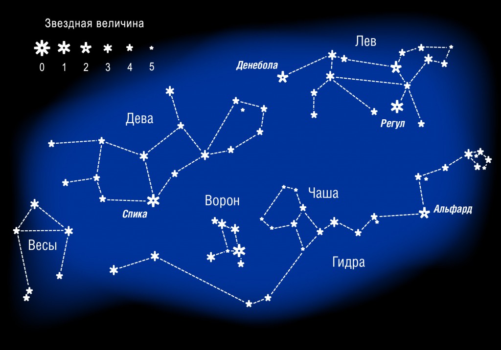 Что такое кракен только через тор
